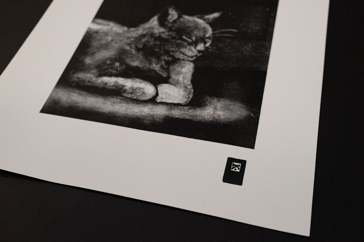 Cat monoprint by Kate Roy, Ōtautahi Christchurch, 2025