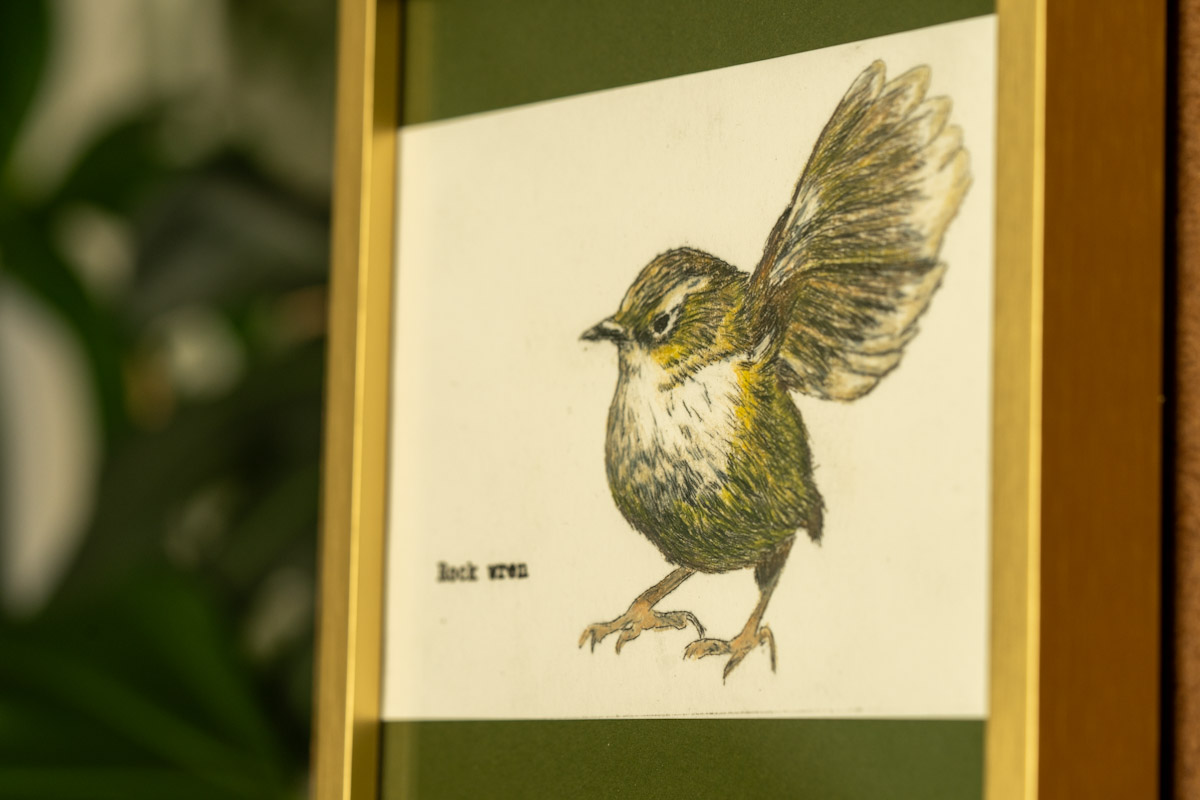 Rock Wren, mixed media art by Kate Roy, Ōtautahi Christchurch, 2025